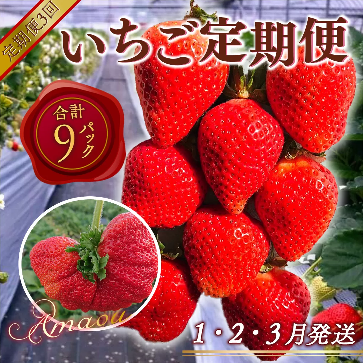 【期間限定発送】 いちご 定期便 あまおう デラックス 3p 3回 総計9p [THE FARM_strawberry 福岡県 宇美町 um40azo780004] イチゴ 苺 フルーツ 果実 甘い 小分け