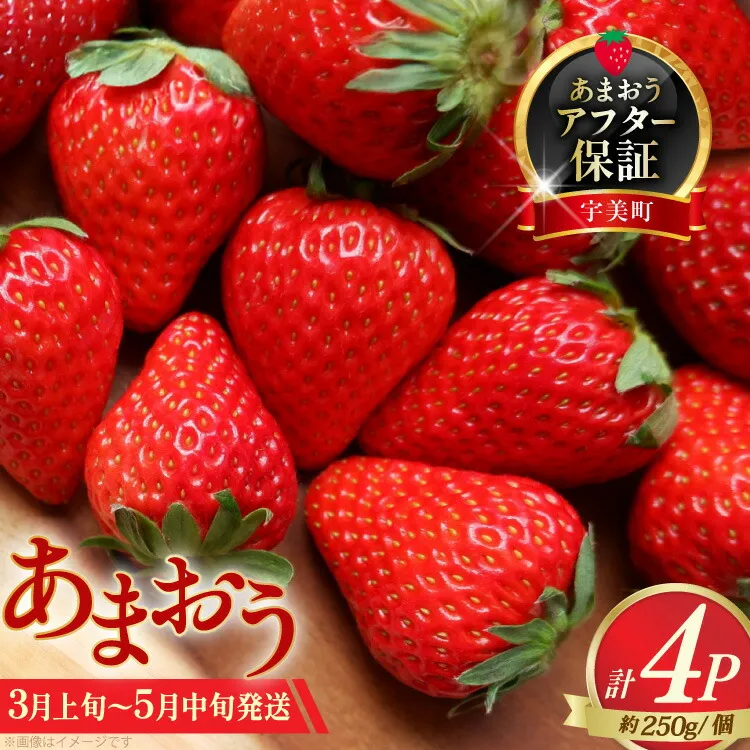 いちご あまおう 先行予約 約250g×4P 3月上旬 5月中旬 【2027年発送】 [一千也フーズ 福岡県 宇美町 um40azp140005] 苺 イチゴ フルーツ ストロベリー 甘い あまい 季節限定 期間限定 1kg 2027