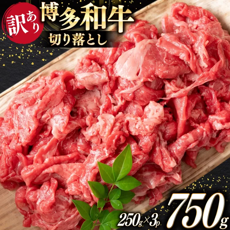 牛肉 訳あり A4 A5 博多和牛 切り落とし 250g 3p 計750g [木村食品 福岡県 宇美町 um40beg040037] 訳アリ 牛 肉 牛バラ 肩肉 バラ肉