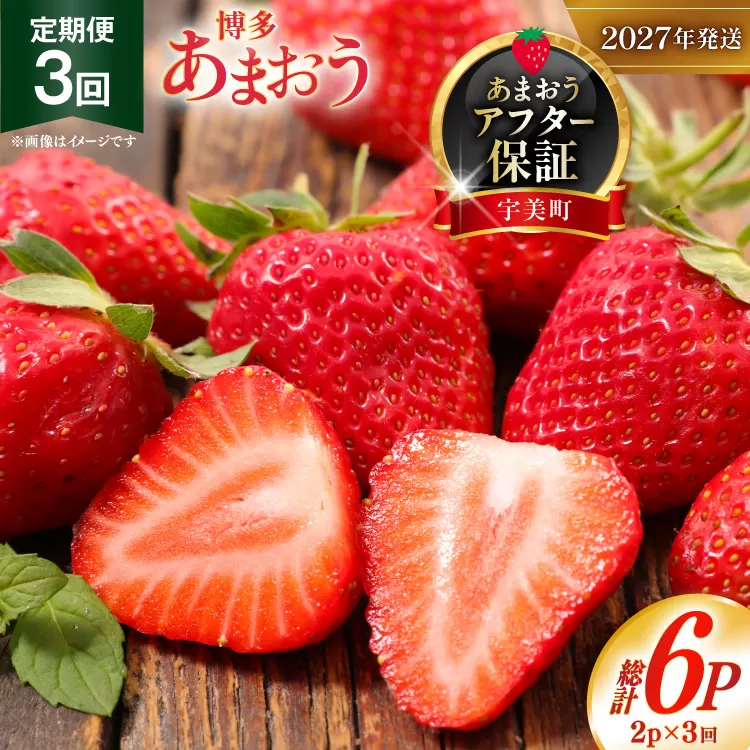 いちご あまおう 定期便 2p 3回 総計6P【2027年発送】 期間限定発送 [THE FARM_strawberry 福岡県 宇美町 um40azo780012] 先行予約 イチゴ 苺 フルーツ 果物 果実 甘い 小分け 定期 あまい