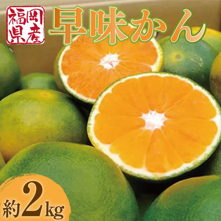 【期間限定発送】 みかん 早味かん 約 2kg [南国フルーツ 福岡県 宇美町 um40azo970030] 福岡県産 ミカン 早生みかん 早生ミカン フルーツ 果物 くだもの