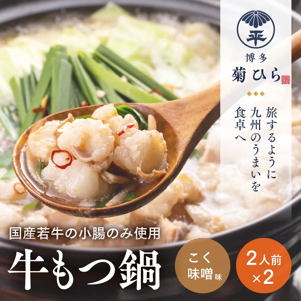もつ鍋 博多菊ひら 厳選 国産 若牛 もつ鍋セット こく味噌味2人前 2 セット [ベイシス福岡 福岡県 宇美町 um40azp130001] 牛もつ鍋 モツ鍋 モツ鍋セット 鍋 博多