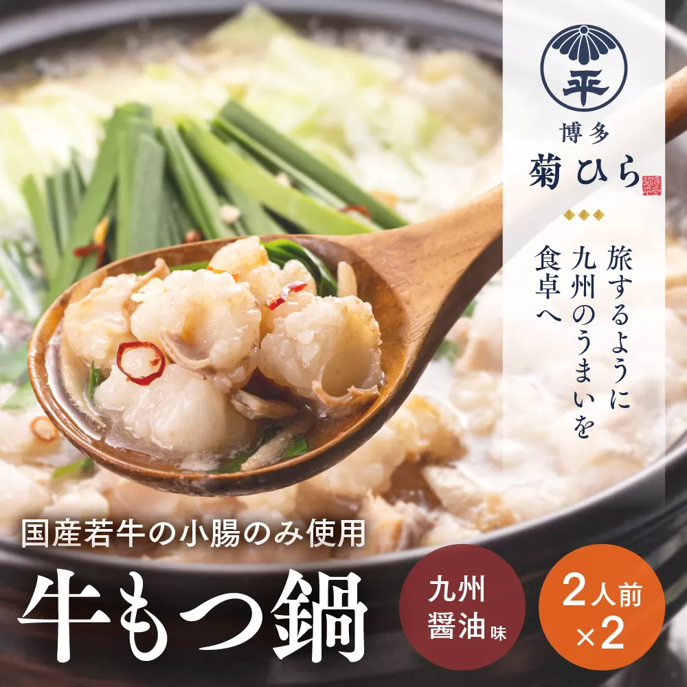 もつ鍋 博多菊ひら 厳選 国産 若牛 もつ鍋セット 九州醤油味 2人前 2 セット [ベイシス福岡 福岡県 宇美町 um40azp130000] 牛もつ鍋 モツ鍋 モツ鍋セット 鍋 博多