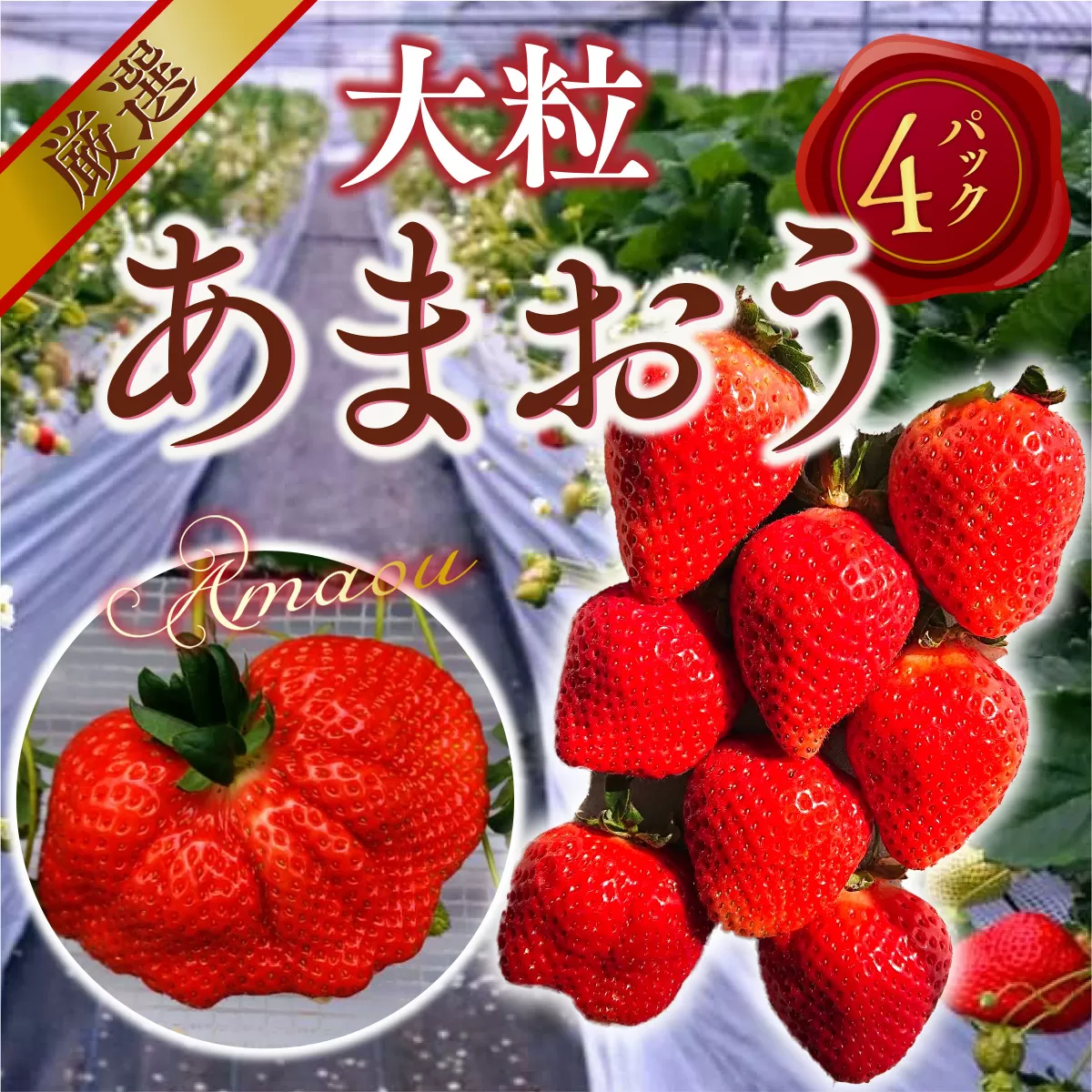 【期間限定発送】 いちご あまおう 厳選大粒 4p [THE FARM_strawberry 福岡県 宇美町 um40azo780007] イチゴ 苺 大粒 フルーツ 果実 甘い 小分け