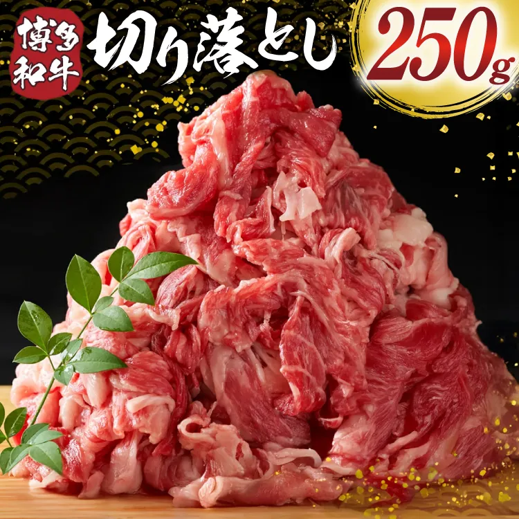 肉 牛肉 博多和牛 切り落とし 250g [MEAT PLUS 福岡県 宇美町 um40azp010057] ふるさと納税 牛肉 牛 肉 和牛 黒毛和牛 切落し 赤身 和牛 肩肉 牛肩 バラ肉 バラ 国産 冷凍