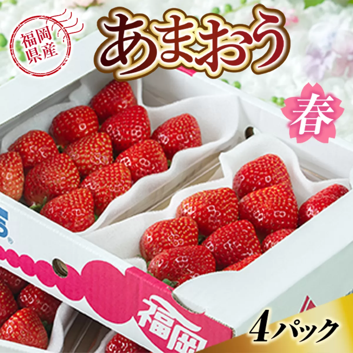 【期間限定発送】 いちご あまおう 福岡産あまおう 春 4パック [南国フルーツ 福岡県 宇美町 um40azo970002] イチゴ 苺 フルーツ 果実 甘い 小分け