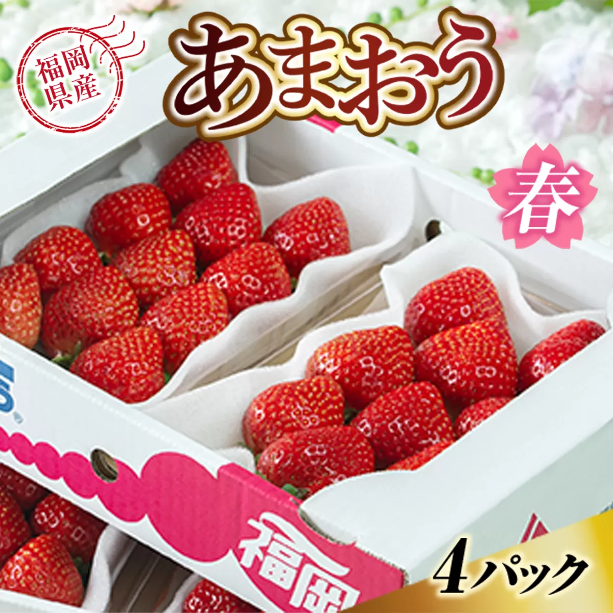 福岡産あまおう春4パック 　先行予約※2025年2月上旬から2025年3月下旬に順次発送予定 　AX003