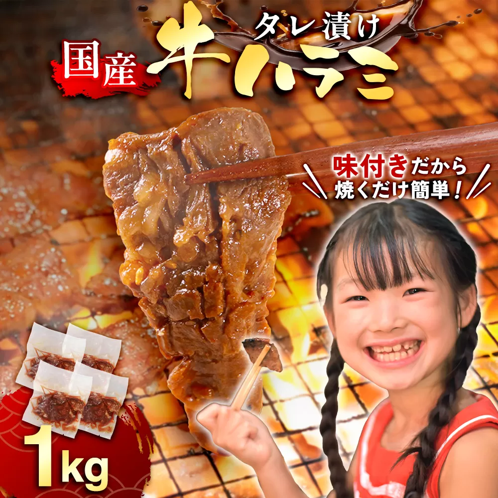 牛肉 焼肉 国産 特製たれ漬 牛ハラミ サガリ 1kg [宇美ホルモン 福岡県 宇美町 um40azp100005] ハラミ はらみ 牛はらみ 小分け 個包装 牛 肉 焼き肉 ホルモン タレ漬け たれ漬け