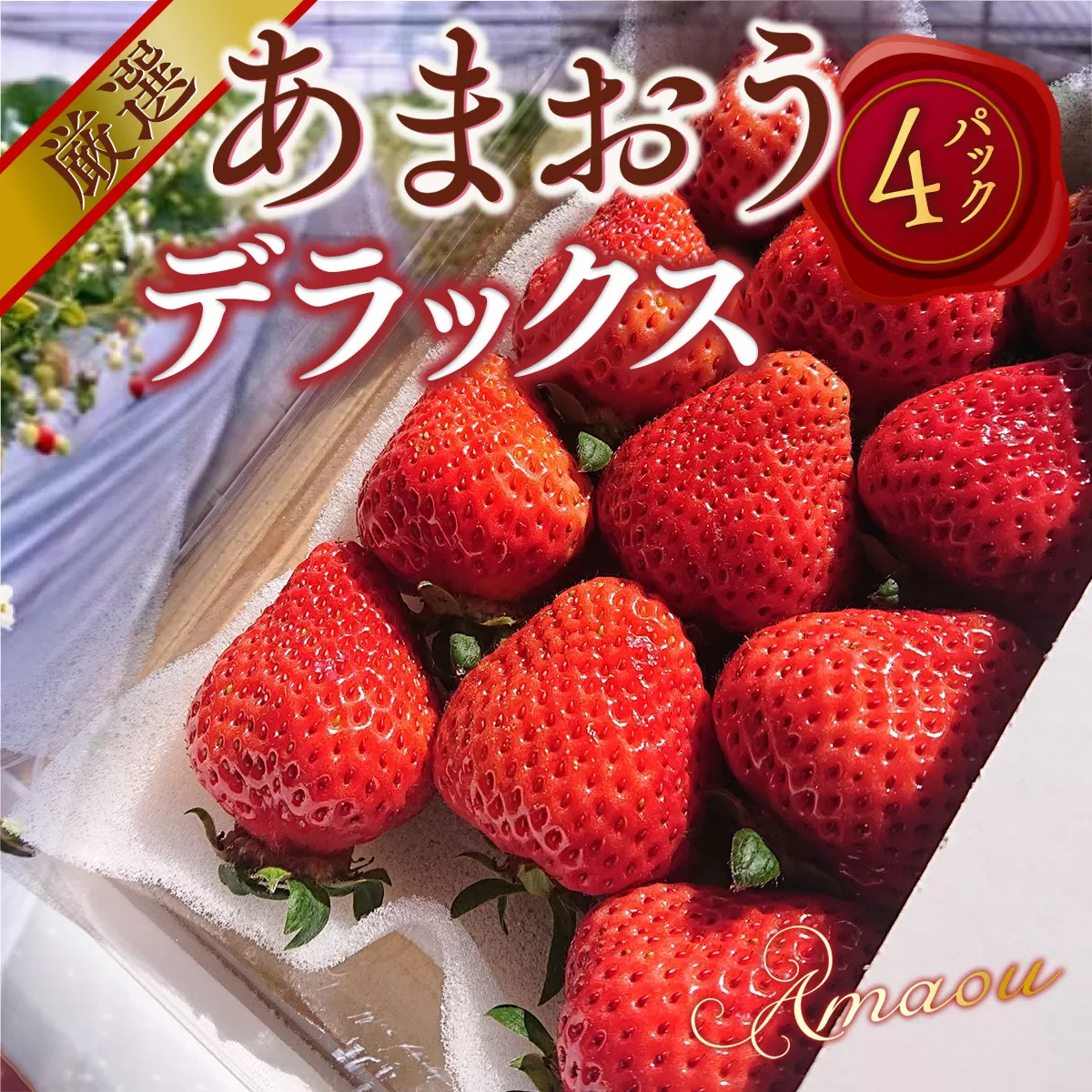 【期間限定発送】 いちご あまおう デラックス 4p [THE FARM_strawberry 福岡県 宇美町 um40azo780001] イチゴ 苺 フルーツ 果実 甘い 小分け
