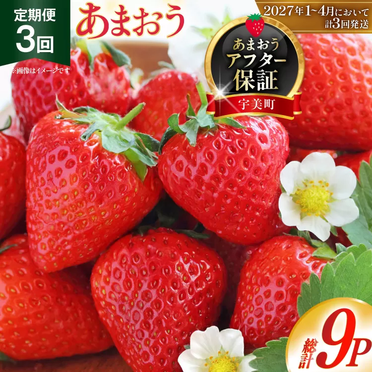いちご あまおう 福岡 250g以上 3p 3回 総計9p【2027年発送】期間限定発送 [THE FARM_strawberry 福岡県 宇美町 um40azo780004] イチゴ 苺 フルーツ 果物 果実 甘い 小分け 定期 あまい 先行予約