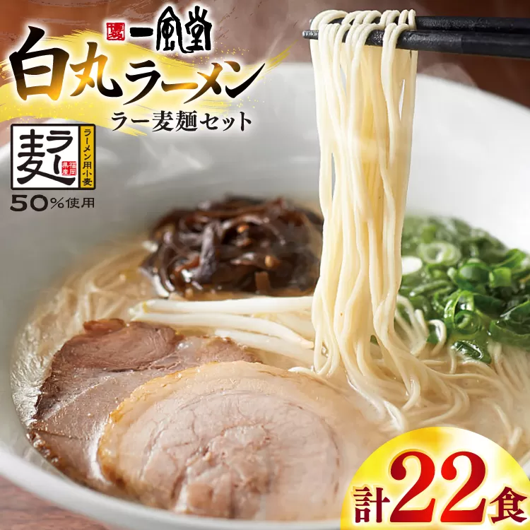 ラーメン 一風堂 白丸 ラー麦麺 セット 計22食 [地域商社ふるさぽ 福岡県 宇美町 um40bfw220004] らーめん 豚骨 とんこつ 博多ラーメン 豚骨ラーメン 詰め合わせ