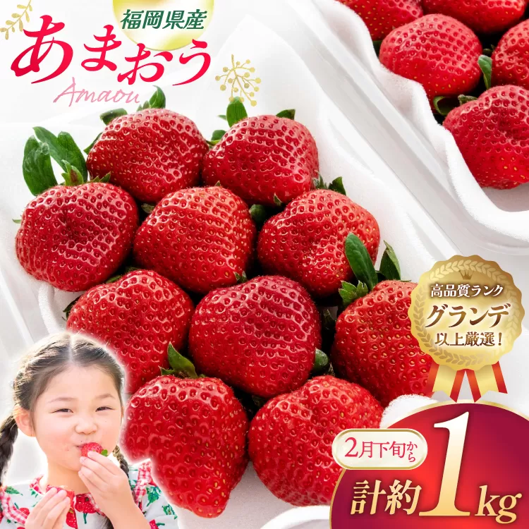 いちご あまおう 270g 4p 計約1kg【2月後半-3月後半発送】 2027年発送 先行予約 [hurrah. 福岡県 宇美町 um40bjm200000] イチゴ 苺 フルーツ 果物 果実 甘い あまい グランデ