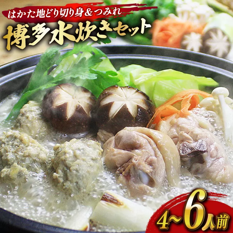 水炊き セット 4～6人前 はかた地どり 切り身 つみれ [ベネフィス 福岡県 宇美町 um40azp190030] 水たき 具材 スープ はかた地どり 切り身 つみれ