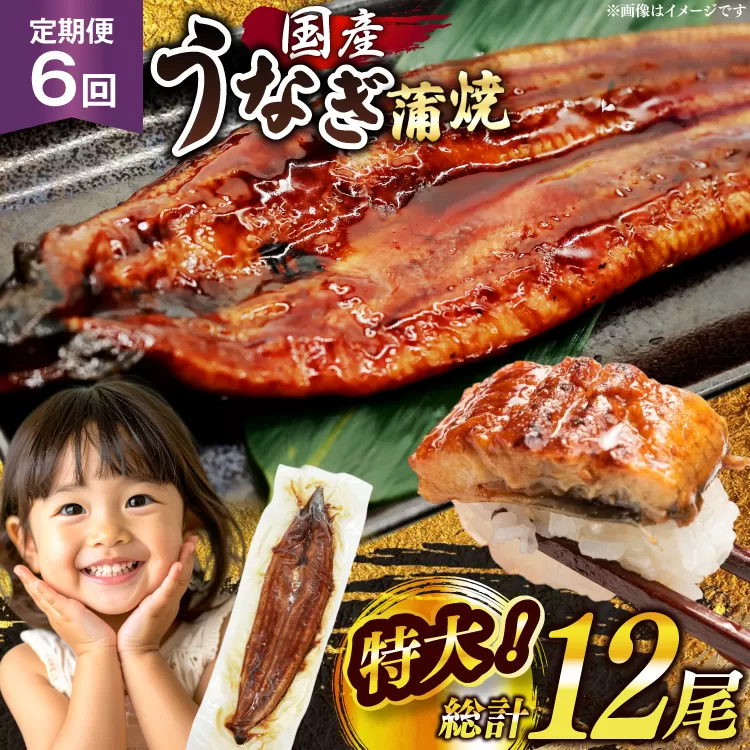 うなぎ 国産 定期便 鰻 蒲焼 特大 約200g 2尾 計400g以上 6回 総計約2.4kg 小分け 【有頭】[大黒物産 福岡県 宇美町 um40bak830019] タレ 山椒付 茶葉蒸し ウナギ 不揃い 規格外 鹿児島 宮崎 うなぎ蒲焼 鰻蒲焼き 蒲焼き かば焼き 真空パック 個包装 冷凍 unagi