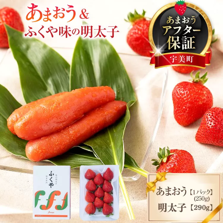 いちご 明太子 セット 福岡産あまおう 1パック 250g ふくや 味の明太子 290g 【期間限定発送】 [南国フルーツ 福岡県 宇美町 um40azo970037] 詰め合わせ 先行予約 あまおう イチゴ 苺 フルーツ 果物 果実 甘い あまい ふくや 辛子明太子 めんたいこ