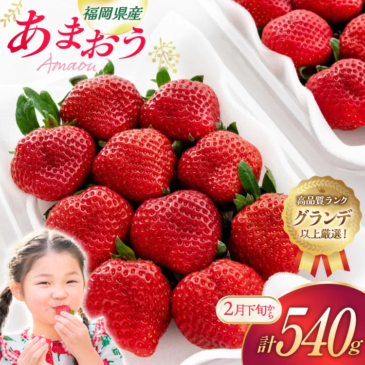 いちご あまおう 270g 2p 計540g【2月後半-3月後半発送】 2027年発送 先行予約 [hurrah. 福岡県 宇美町 um40bjm200003] イチゴ 苺 フルーツ 果物 果実 甘い あまい グランデ