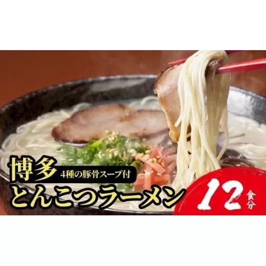 【4種の豚骨スープ】博多とんこつラーメン12食分【本場博多産のスープ】