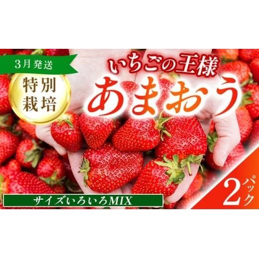 福岡県産 特別栽培 あまおう サイズいろいろMIX 約570g（約285g×2パック）【3月発送】　農園直送 アフター保証 先行予約 福岡産 送料無料 ケーキ ギフト お祝い 限定 季節限定 UN006