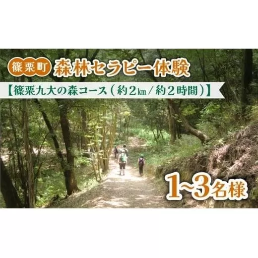 篠栗町森林セラピー体験1~3名様【篠栗九大の森コース(約2km/約2時間)】FZ005 | 森林 セラピー ハイキング 自然 体験 森 観光 四国八十八ヶ所霊場 お遍路 篠栗町