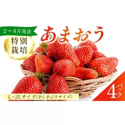 福岡県産 特別栽培 あまおう L~2Lサイズ（少し小ぶりサイズ）約1140g（約285g×4パック）【2～4月発送】 | 農園直送 アフター保証 先行予約 福岡産 送料無料 ケーキ ギフト お祝い 限定 季節限定 UN004