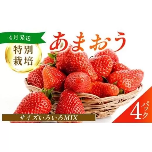 福岡県産 特別栽培 あまおう サイズいろいろMIX 約1140g（約285g×4パック）【4月発送】| 農園直送 アフター保証 先行予約 福岡産 送料無料 ケーキ ギフト お祝い 限定 季節限定 UN003