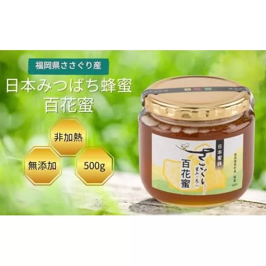日本蜜蜂「ささぐり里山のはちみつ」（百花蜜）500g AA001