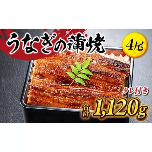 うなぎの蒲焼４尾 タレ付き（３本）YZ003