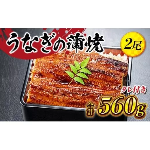うなぎの蒲焼２尾 タレ付き（１本）YZ001