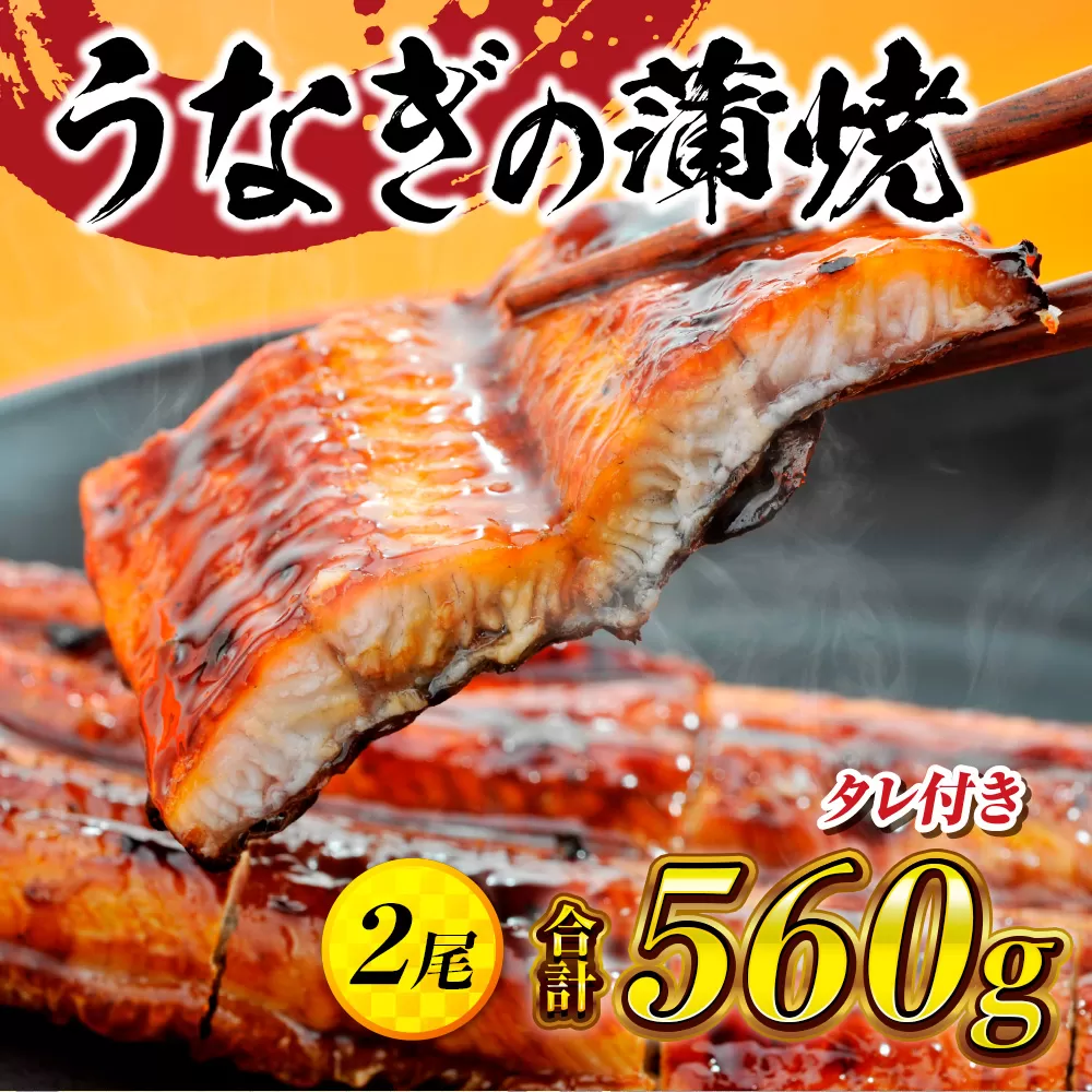 うなぎの蒲焼２尾 タレ付き（１本） YZ001 