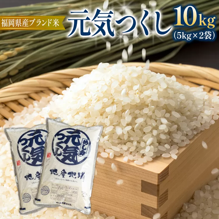 福岡の美味しいお米 元気つくし 10kg(5kg×2)