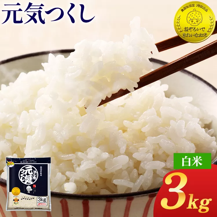 令和7年産 白米 金のめし丸 元気つくし 3kg 福岡 お米 米 ごはん ご飯 お弁当 おにぎり 金のめし丸県産米 福岡ブランド米 めし丸 ライス rice 飯
