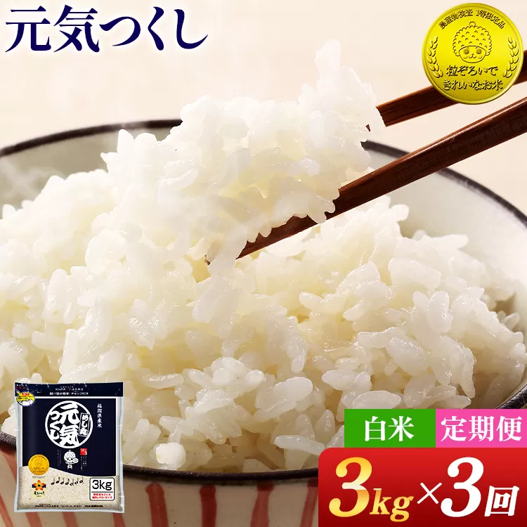 【3回定期便】 令和7年産 白米 金のめし丸 元気つくし 3kg 定期便 3ヵ月 福岡 お米 米 ごはん ご飯 お弁当 おにぎり 金のめし丸県産米 福岡ブランド米 めし丸 ライス rice 飯