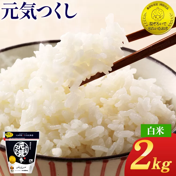 令和7年産 白米 金のめし丸 元気つくし 2kg 福岡 お米 米 ごはん ご飯 お弁当 おにぎり 金のめし丸県産米 福岡ブランド米 めし丸 ライス rice 飯
