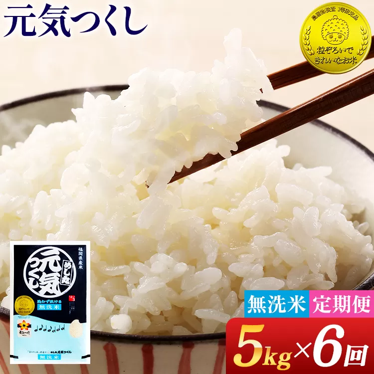 【無洗米 6回定期便】 令和7年産 無洗米 金のめし丸 元気つくし 5kg 定期便 半年 福岡 お米 米 ごはん ご飯 お弁当 おにぎり 金のめし丸県産米 福岡ブランド米 めし丸 ライス rice 飯