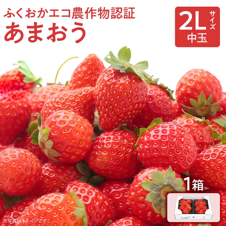 ふくおかエコ農作物認証あまおう 2Lサイズ 1箱セット あまおう イチゴ 苺 いちご フルーツ 果物 くだもの 福岡県産 お取り寄せグルメ お取り寄せ 福岡 お土産 九州 福岡土産 取り寄せ グルメ 福岡県