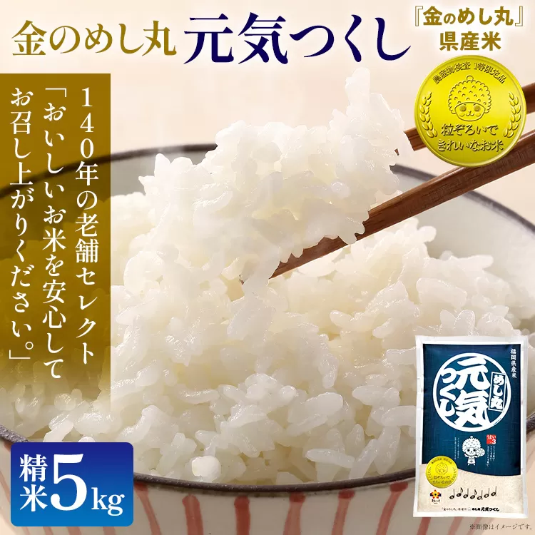 金のめし丸元気つくし精米５kg 元気つくし 福岡 お米 米 ごはん ご飯 お弁当 おにぎり 金のめし丸県産米 福岡ブランド米 めし丸 志免 志免町 福岡県