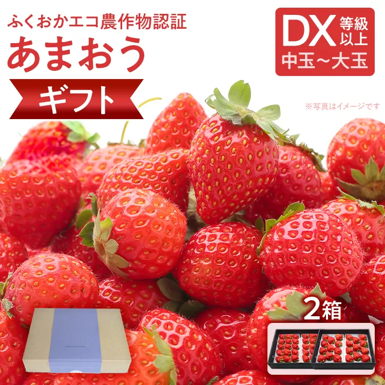 ふくおかエコ農作物認証あまおう ギフト DX等級以上 2箱セット あまおう イチゴ 苺 いちご フルーツ 果物 くだもの 福岡県産 お取り寄せグルメ お取り寄せ 福岡 お土産 九州 福岡土産 取り寄せ グルメ 福岡県