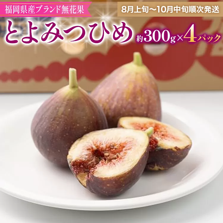 福岡県産ブランド無花果「とよみつひめ」(約300g×4パック)