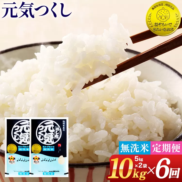 【無洗米】 令和7年産 金のめし丸 元気つくし 合計60kg 10kg (5kg×2袋) ×6回 定期便 白米 精米 お米 ご飯 米 精米 お取り寄せ 福岡 お土産 九州 福岡県産 グルメ 福岡県