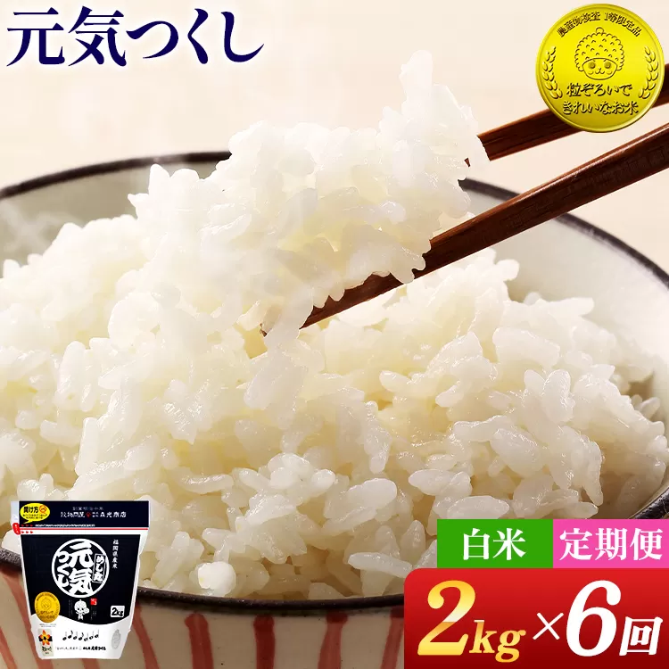 【6回定期便】 令和7年産 白米 金のめし丸 元気つくし 2kg 定期便 半年 福岡 お米 米 ごはん ご飯 お弁当 おにぎり 金のめし丸県産米 福岡ブランド米 めし丸 ライス rice 飯