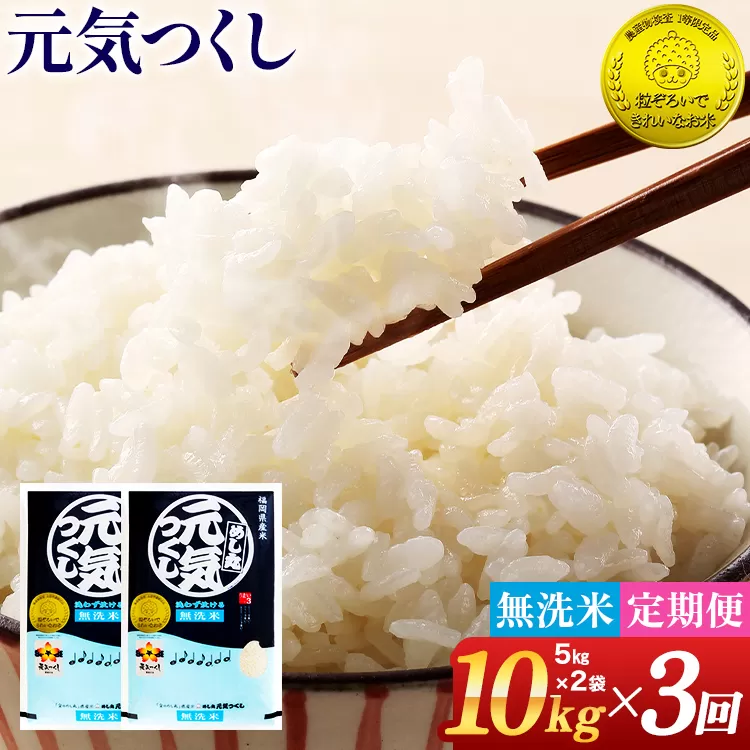 【無洗米】令和7年産 金のめし丸 元気つくし 合計30kg 10kg (5kg×2袋) ×3回 定期便 白米 精米 お米 ご飯 米 精米 お取り寄せ 福岡 お土産 九州 福岡県産 グルメ 福岡県