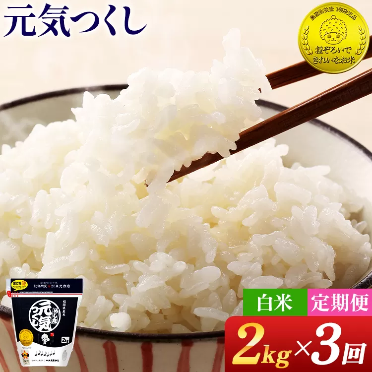 【3回定期便】 令和7年産 白米 金のめし丸 元気つくし 2kg 定期便 3ヵ月 福岡 お米 米 ごはん ご飯 お弁当 おにぎり 金のめし丸県産米 福岡ブランド米 めし丸 ライス rice 飯