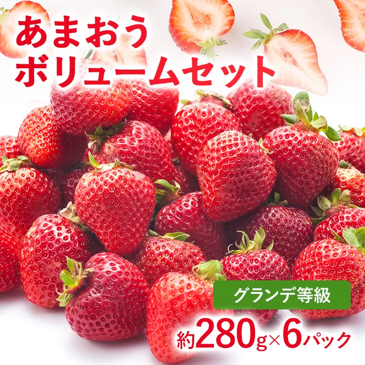 【2026年発送先行予約】あまおうボリュームセット(約280g x G6パック) お取り寄せグルメ お取り寄せ 福岡 お土産 九州 福岡土産 取り寄せ グルメ 福岡県