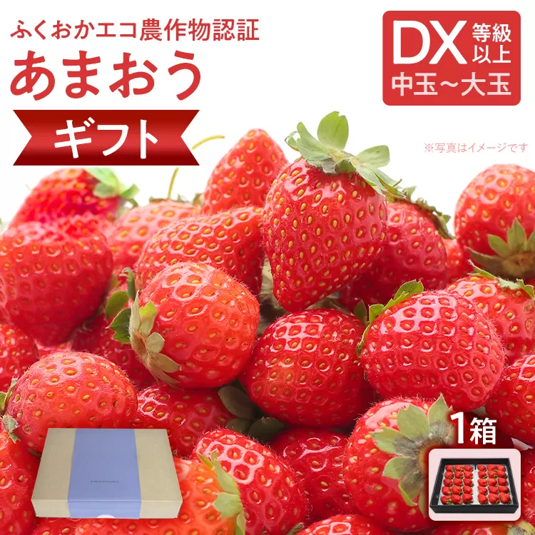 ふくおかエコ農作物認証あまおう ギフト DX等級以上 1箱セット あまおう イチゴ 苺 いちご フルーツ 果物 くだもの 福岡県産 お取り寄せグルメ お取り寄せ 福岡 お土産 九州 福岡土産 取り寄せ グルメ 福岡県