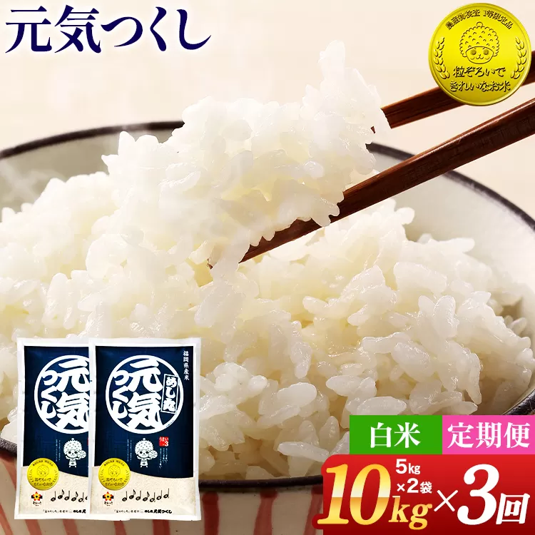 令和7年産 金のめし丸 元気つくし 合計30kg 10kg (5kg×2袋) ×3回 定期便 白米 精米 お米 ご飯 米 精米 お取り寄せ 福岡 お土産 九州 福岡県産 グルメ 福岡県