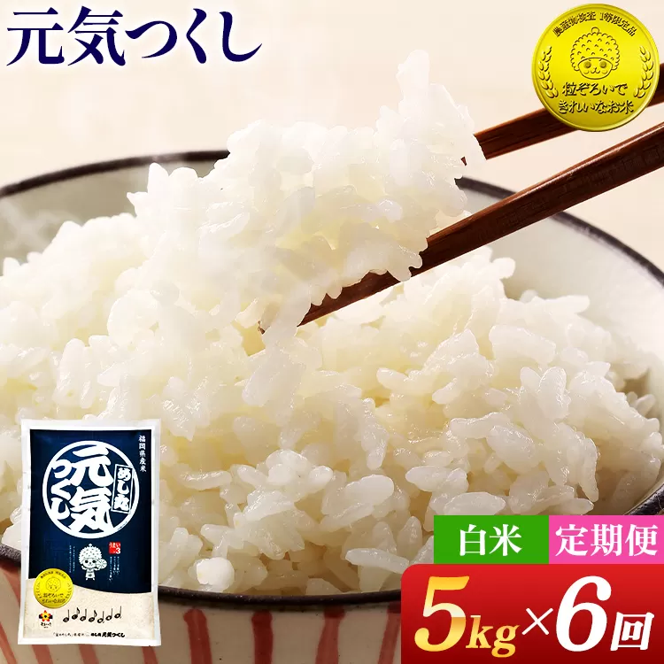 【6回定期便】 令和7年産 白米 金のめし丸 元気つくし 5kg 定期便 半年 福岡 お米 米 ごはん ご飯 お弁当 おにぎり 金のめし丸県産米 福岡ブランド米 めし丸 ライス rice 飯