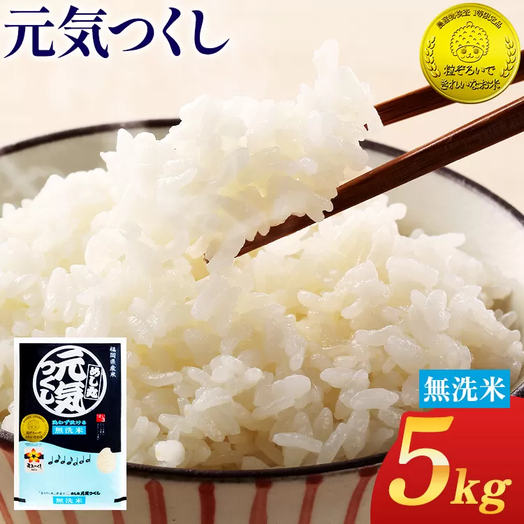 【無洗米】令和7年産 金のめし丸 元気つくし 精米 5kg 米 無洗米 元気つくし 森光商店 老舗 福岡 お米 ごはん ご飯 お弁当 おにぎり 金のめし丸県産米 福岡ブランド米 めし丸 志免 志免町 福岡県