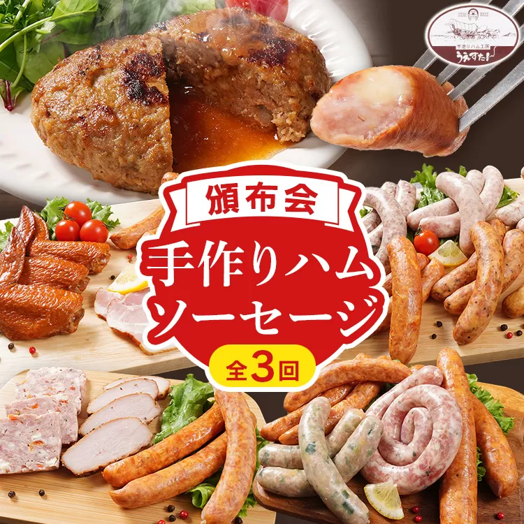 【頒布会】手造り ハムソーセージ C1・E1・O 3回お届け ウィンナー ソーセージ ハム 手羽先 燻製 チーズ あらびき ハンバーグ ソース ペッパー 餃子 生ウィンナー うえすたん セット 食べ比べ 詰め合わせ バラエティ
