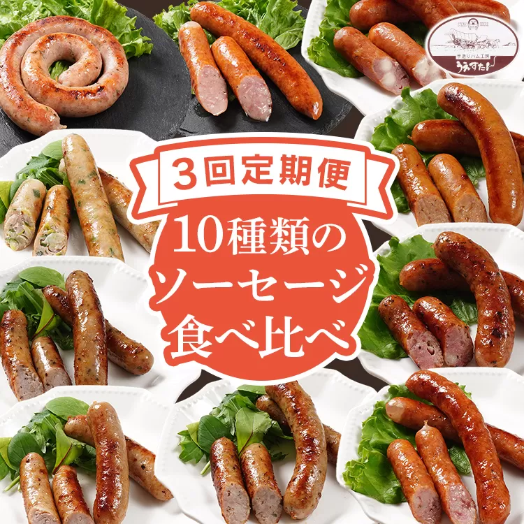【定期便】手造りウィンナー 食べ比べ 10種類 Oセット×3回 ウィンナー ソーセージ チーズ あらびき ペッパー 餃子 ガーリック 生ウィンナー うえすたん セット 食べ比べ 詰め合わせ バラエティ
