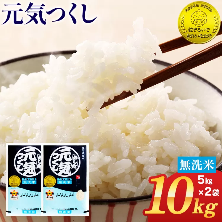 【無洗米】令和7年産 金のめし丸 元気つくし 精米 10kg（5kg×2） 米 無洗米 元気つくし 森光商店 老舗 福岡 お米 ごはん ご飯 お弁当 おにぎり 金のめし丸県産米 福岡ブランド米 めし丸 志免 志免町 福岡県